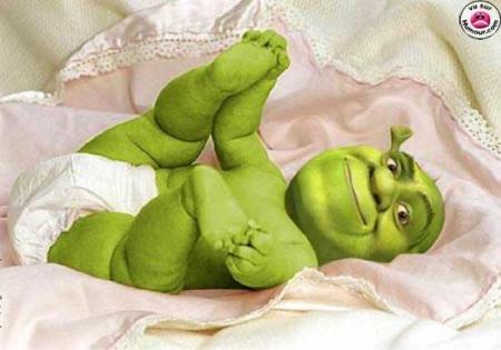 bb shreck